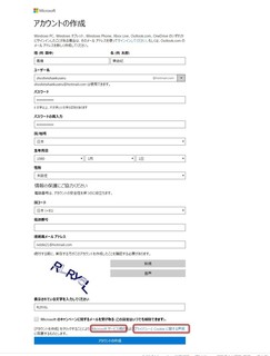 MSN新規登録3.jpg